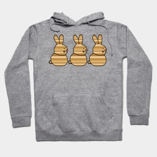 Three Easter Bunny Rabbits Earth Stripes Hoodie